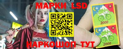 стафф Будённовск