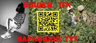 стафф Будённовск