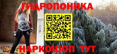стафф Будённовск