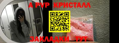 стафф Будённовск