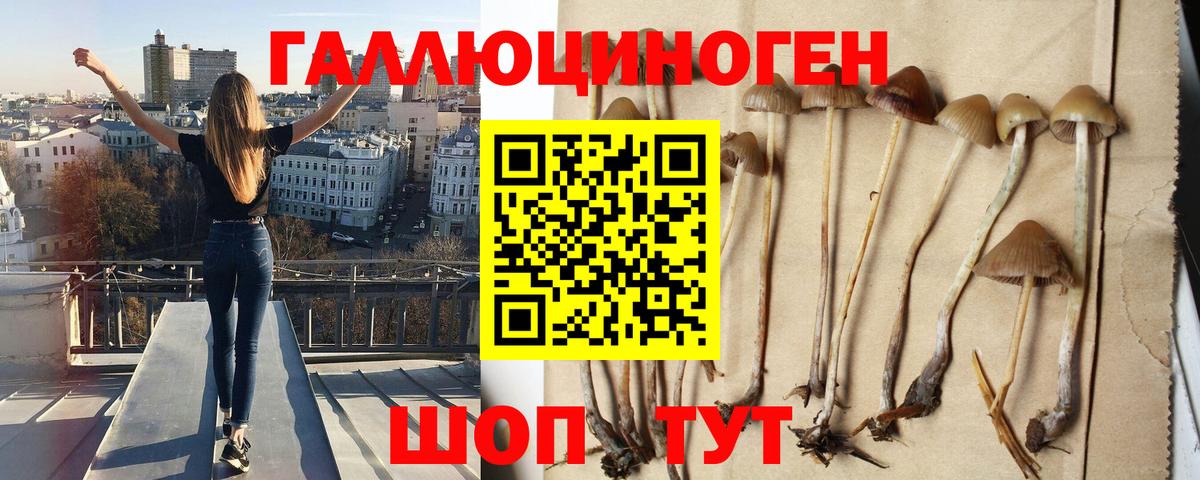 Рубцовск  Псилоцибиновые грибы Psilocybe  Галлюциногенные грибы прущие грибы  Вход с VPN 